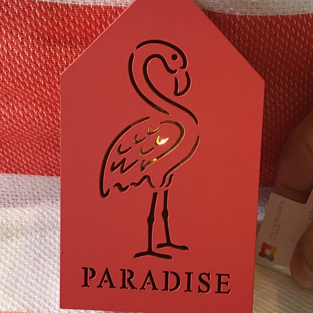 Flamingo Bundle - Picture 4 of 4